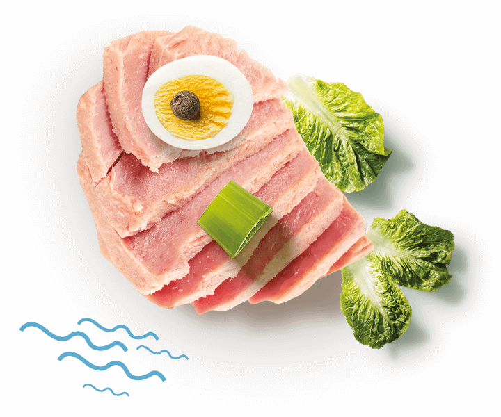 Tuna and Eggs